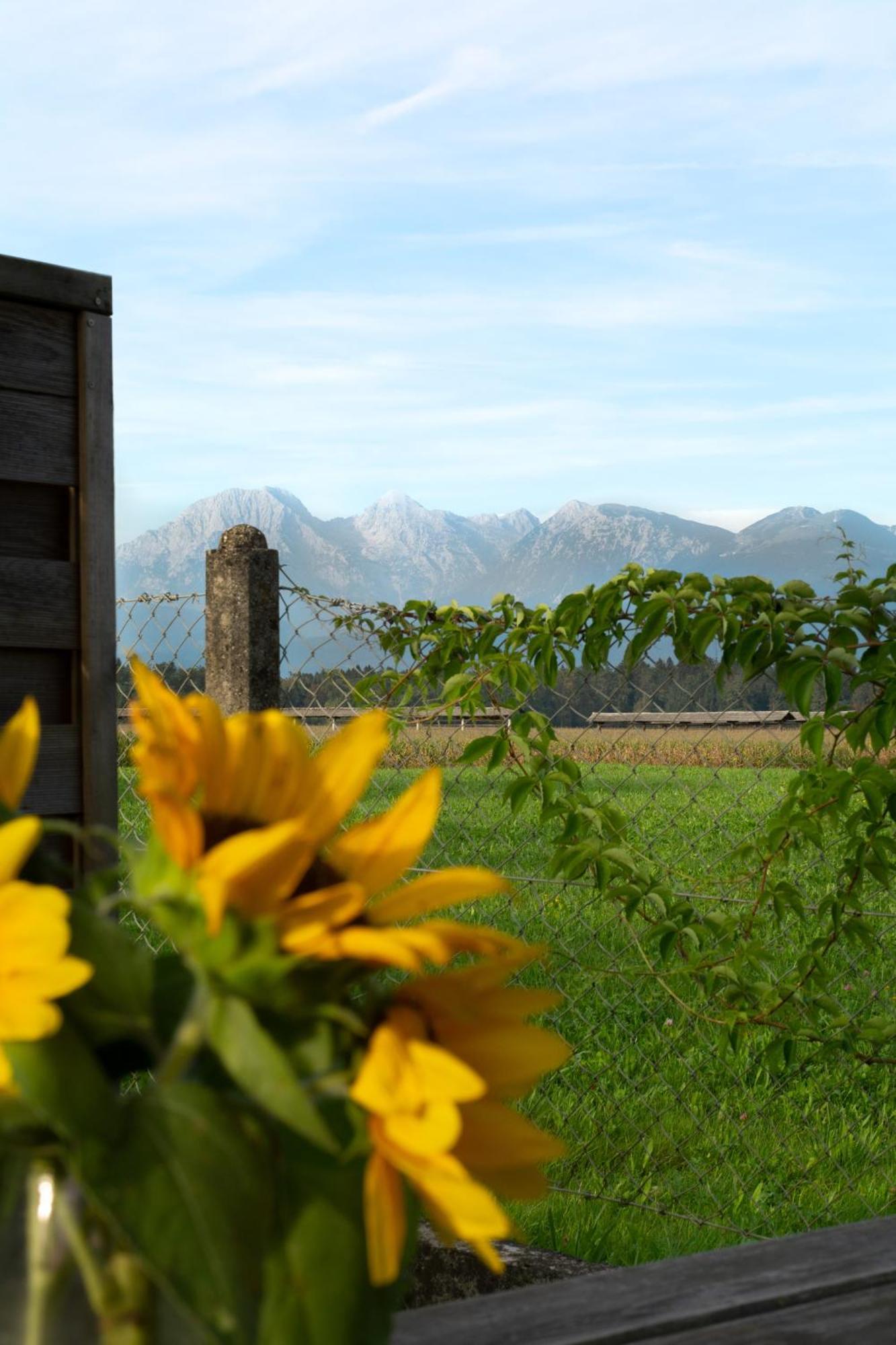 Glamping With A View Villa Smlednik Bagian luar foto